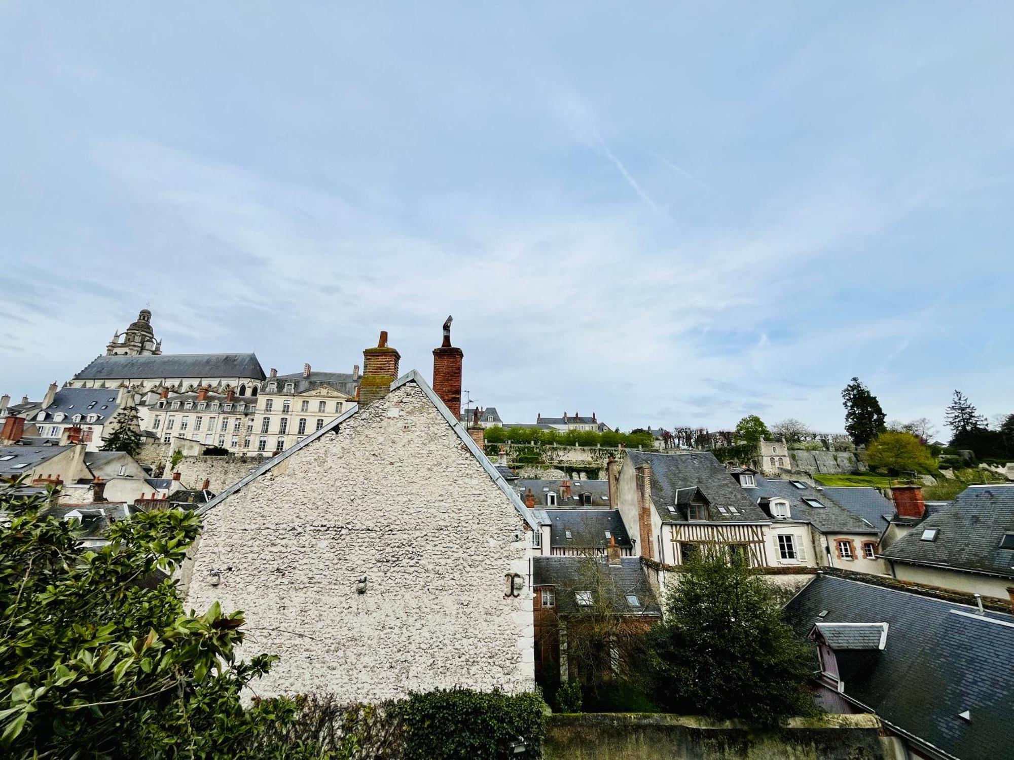 ブロワVue Loire, Hypercentre, Spacieux, Familial, Climatise, Le Quai De Loireアパートメント エクステリア 写真